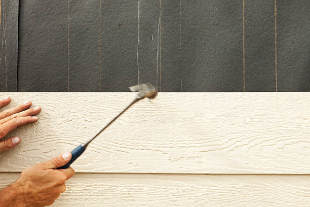 Best Siding Maintenance  in Pembroke, VA